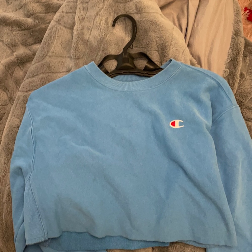 Champion hoodie-cropped